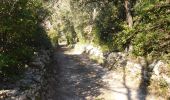 Trail Walking Aujargues - 3 aujargues_24_01_2017_2 - Photo 3