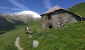 Trail Walking Valloire - Valloire :vallon des aiguilles d'arves  - Photo 8