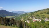 Tocht Stappen Bernex - Tour des Memises - Photo 4