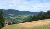 Tocht Stappen Bussang - Circuit col de bussang / tête de la Bouloie - Photo 7