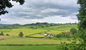 Trail Walking Theux - entre la ferme st Remacle et Hodbomont - Photo 11