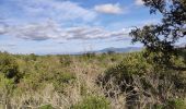 Tour Wandern Roquebrune-sur-Argens - z les bois de Roquebrune 20-11-18 - Photo 1