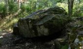 Percorso A piedi Le Vernet-Sainte-Marguerite - Le Puy d'Alou - Photo 4