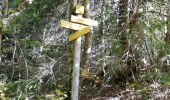 Tocht Stappen Apremont - col du Granier / pointe de la Gorgeat - Photo 1