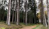 Trail Walking Libramont-Chevigny - Entre Vierre et Ourthe - Photo 4