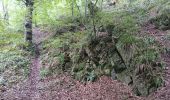 Percorso Marcia Seraing - les bois de l abbaye - Photo 14