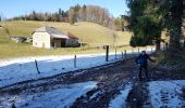 Trail Walking Miribel-les-Échelles - Col des mille martyrs - Photo 4