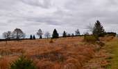 Trail Walking Baelen - 20231030 - Drossart 7.8 Km - Photo 14