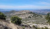 Tour Wandern Allauch - le pic du Taoumé par Pichauris - Photo 9