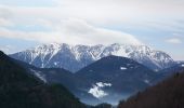 Tocht Te voet Gemeinde Waldegg - Dürnbach (Nazwirt) - Klamm - Scheuchenstein - Photo 8