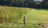 Trail Walking Meerfeld - Meerfelder Maar en Waldsbornkratersee (PVDB ) - Photo 16