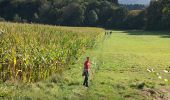 Excursión Senderismo Meerfeld - Meerfelder Maar en Waldsbornkratersee (PVDB ) - Photo 16