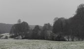 Excursión Senderismo Hotton - Bois de Hampteau bis - Photo 1