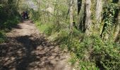 Trail Walking Latresne - cenac - Photo 5