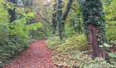 Tocht Stappen Seraing - les bois de l abbaye - Photo 18