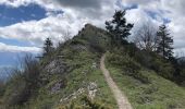 Trail Walking Saint-Martin-de-Clelles - Goût ARGOUD 24-05-2021 - Photo 10