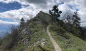 Tour Wandern Saint-Martin-de-Clelles - Goût ARGOUD 24-05-2021 - Photo 10