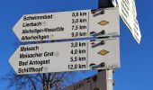 Tour Zu Fuß Oppenau - Lierbachtalweg - Photo 1