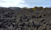 Randonnée Marche Linguaglossa - etna cratères 2002 - Photo 2