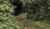 Trail Walking Plougasnou - Le Diben - Photo 2