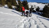 Tocht Sneeuwschoenen Font-Romeu-Odeillo-Via - Autour du refuge de La Calme  - Photo 1