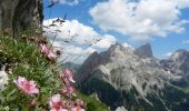 Trail On foot San Giovanni di Fassa - IT-E613 - Photo 1