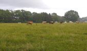 Percorso Marcia Oroix - Oroix RS longFait - Photo 6