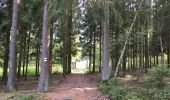 Trail Walking La Roche-en-Ardenne - Transardennaise Étape 1 - Photo 14
