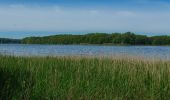 Tour Zu Fuß Schwielochsee - Wanderweg grüner Balken Groß Leuthen-Goyatz - Photo 6