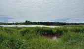 Trail Nordic walking Vendays-Montalivet - Marais de la Perge - Photo 11