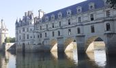 Trail Walking Chenonceaux - Chenonceaux - Photo 4