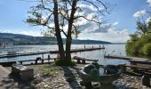 Tocht Te voet Uster - Greifensee - Niederuster - Photo 4