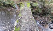 Percorso A piedi Saint-Pierre-des-Nids - Boucle du Moulin de Campas - Photo 6