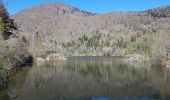 Trail Walking Sewen - Lac d'Alfed et sa cascade - Lac des Perches  - Lac du Newiher - Photo 1