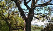 Trail Walking Sisteron - chapelle de st  Domin - Photo 9