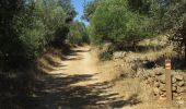 Trail On foot Paderne - Percurso do Cerro Grande - Photo 7