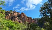 Trail Walking Roquebrune-sur-Argens - La Bouverie - Gorges du Blavet - Grotte du Muéron - Photo 7