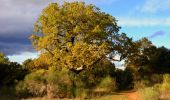 Tour Wandern Puget-Ville - SityTrail - Terre blanche et tour du Faucon départ de Puget ville  - Photo 17