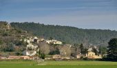 Randonnée Marche Puy-Saint-Martin - Chevrière La Pigne 11km - Photo 4