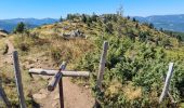 Randonnée Marche Metzeral - Petit-Ballon via Col du Hilsenfirst - Photo 20