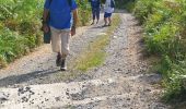 Trail Walking Bouillon - ballade  - Photo 4