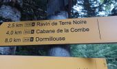 Percorso Marcia Montclar - SAINT JEAN MONTCLAR , forêt de Galisson , cabane de la Combe , o l m s  - Photo 1