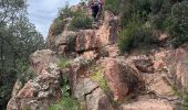 Percorso  Bagnols-en-Forêt - Gorges de Blavet pays de Fayence - Photo 3