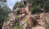 Trail  Bagnols-en-Forêt - Gorges de Blavet pays de Fayence - Photo 3