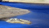 Randonnée Marche La Môle - Barrage de la verne - Sommet de l'Argentière par les crêtes des Pradets - Retour par le bord du lac (V2) - Photo 20