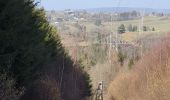 Tour Wandern La Roche-en-Ardenne - rando ornitho warempage 24/02/2021 - Photo 4