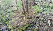 Trail Walking Houffalize - Nadrin FR - Photo 1