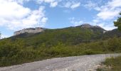 Tocht Trail Châteauneuf-d'Oze - Tour et sommet petite Céüse - Photo 3