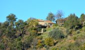 Tour Wandern La Garde-Freinet - SityTrail - Fort Freinet-la Garde-Freinet-02-06-23 - Photo 9