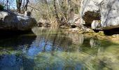 Randonnée Marche Tourves - Tourves- Le Saut du Cabri - Les gorges du Caramy - Photo 9